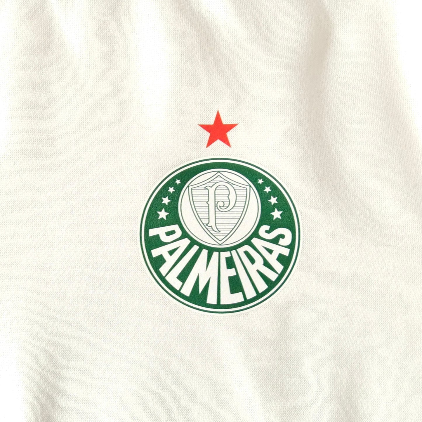 Casaco Palmeiras
